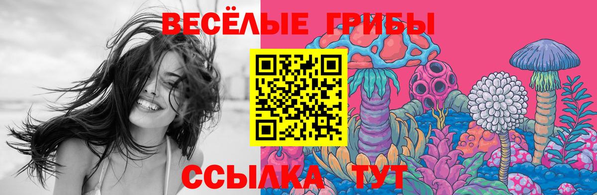 Галлюциногенные грибы Psilocybe  Вход с VPN  где найти наркотики  Чапаевск 